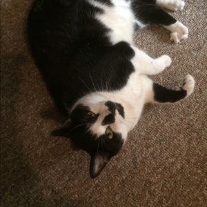 Meet your Posher, Sandra